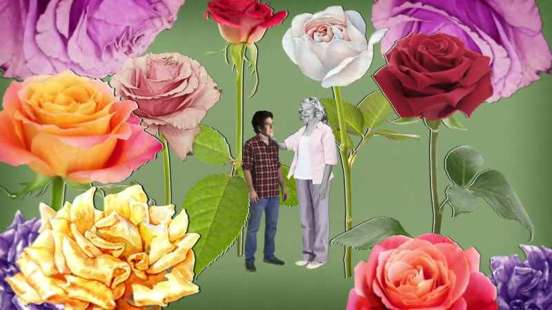 If I had not met Roadway Flowers