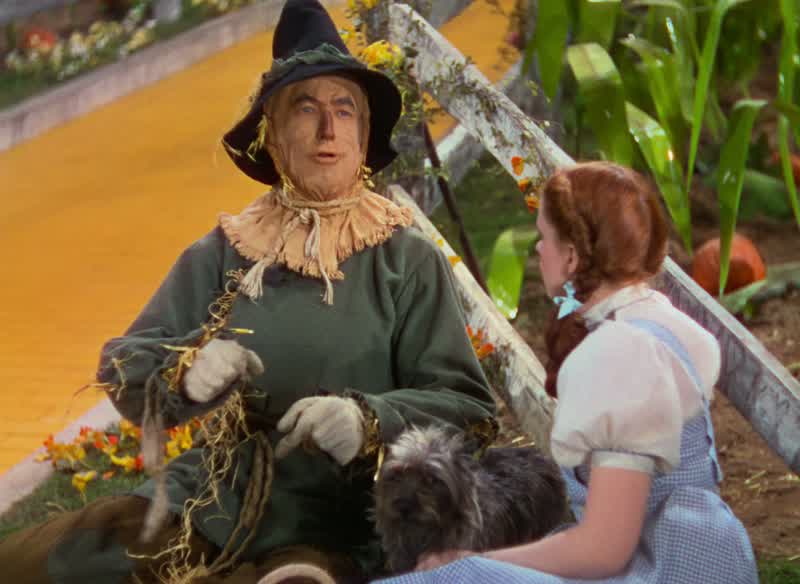 I could while away the hours Conferring with the flowersConsulting with the rainAnd my head I'd be scratchin' While my thoughts were busy hatchin'If I only had a brain