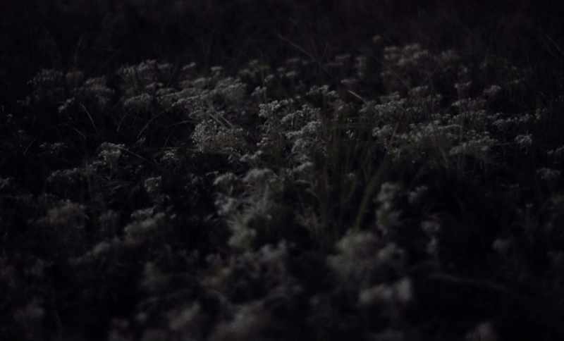 If I had really laid something under the grass