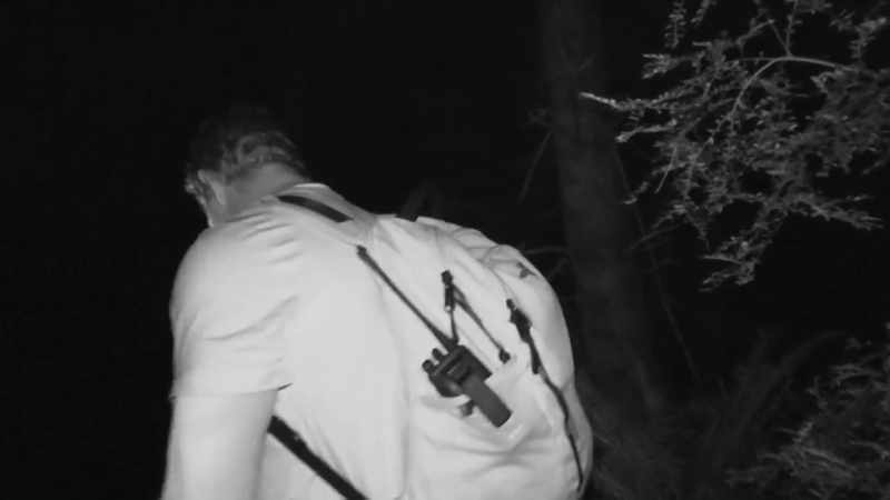 If I stop abruptly, maybe we can catch something
