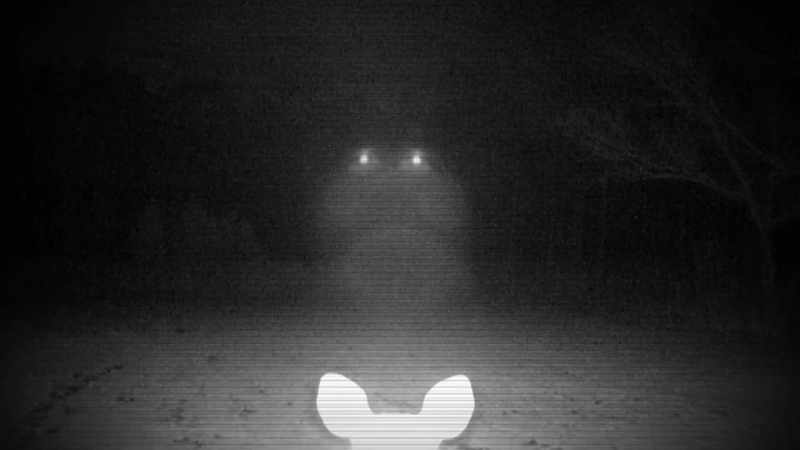 IF IT'S NIGHTTIME, THEN THE IMAGE WILL BE ILLUMINATED