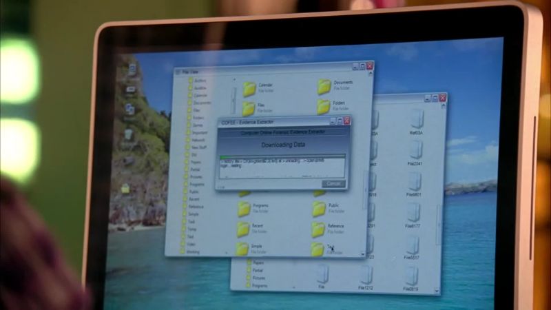 If Justin Porter worked on Summer's computer