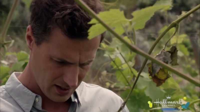 If we lose these vines we lose everything