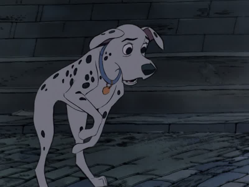 Good luck PongoIf you lose your way contact the barking chainThey'll be standing by