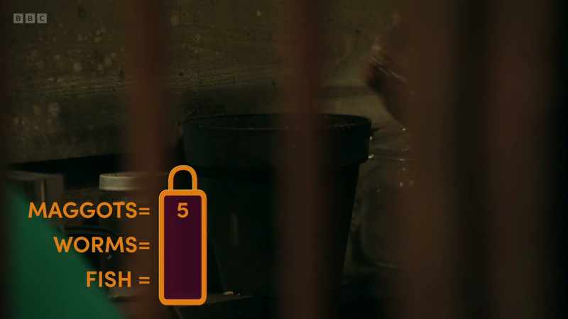 If you manage to escape the cabin within 30 minutes