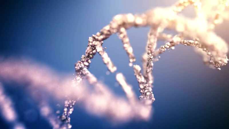 If one accepts this premise of common DNA between inter-planetary beings