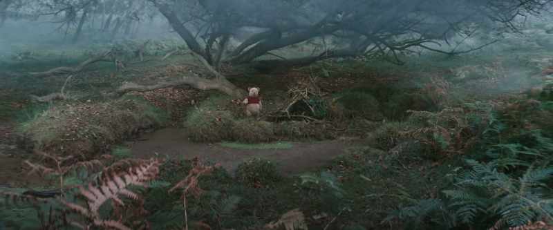 If only Eeyore were here to enjoy it