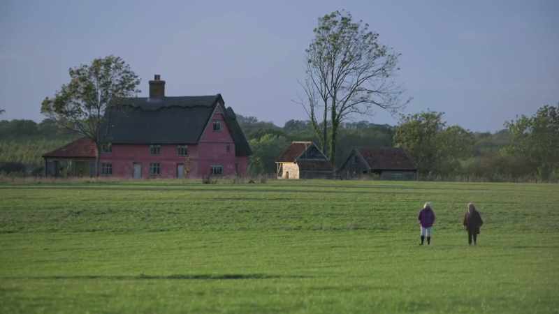 If you owned a field like this what would you do with it?