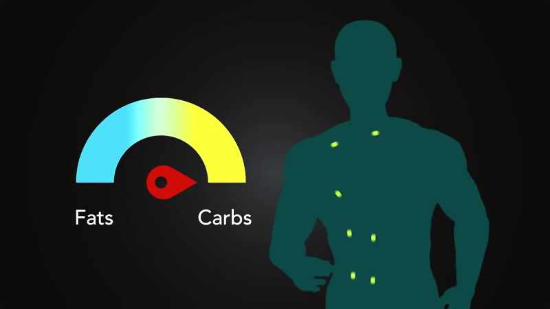 If you quit eating carbs, sugars, and starches