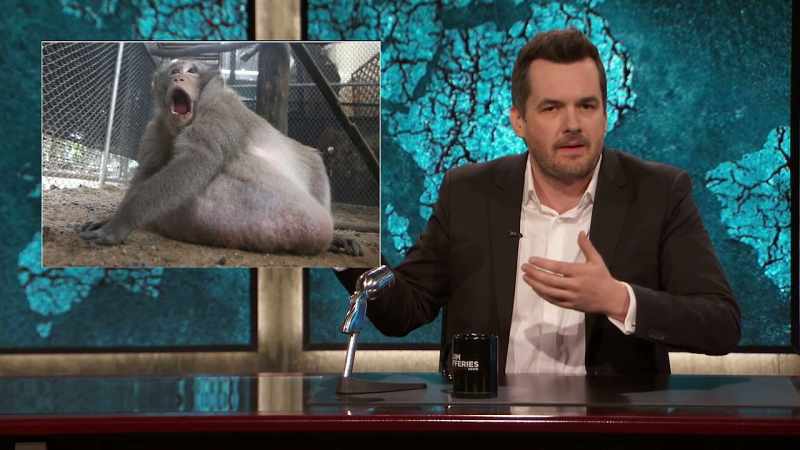 IF THE FAT MONKEY HAD TESTIFIED
