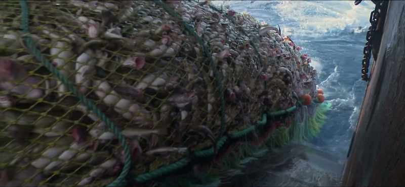 If the ocean dies