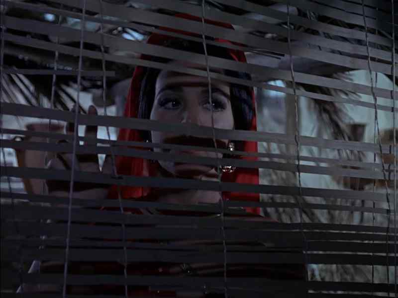 If the spies come back, let us know!