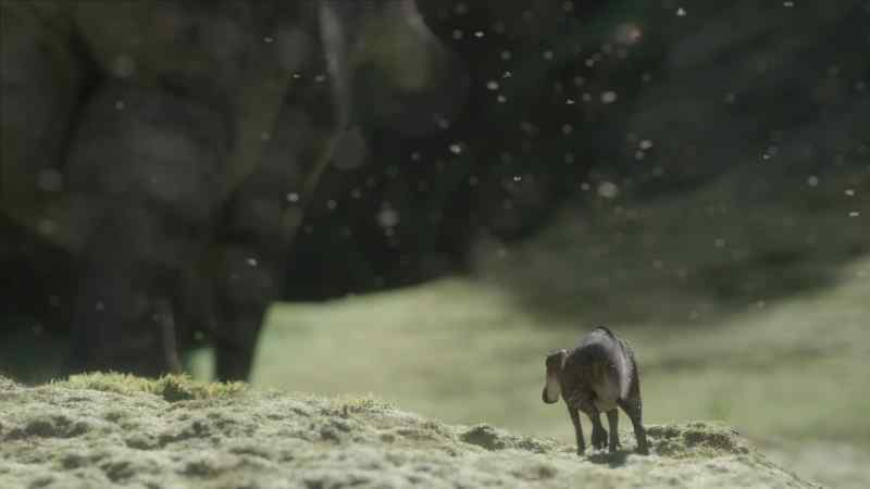 If the young can't keep up, their mothers abandon them