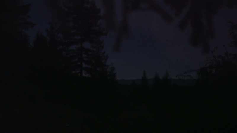 If there's something out there