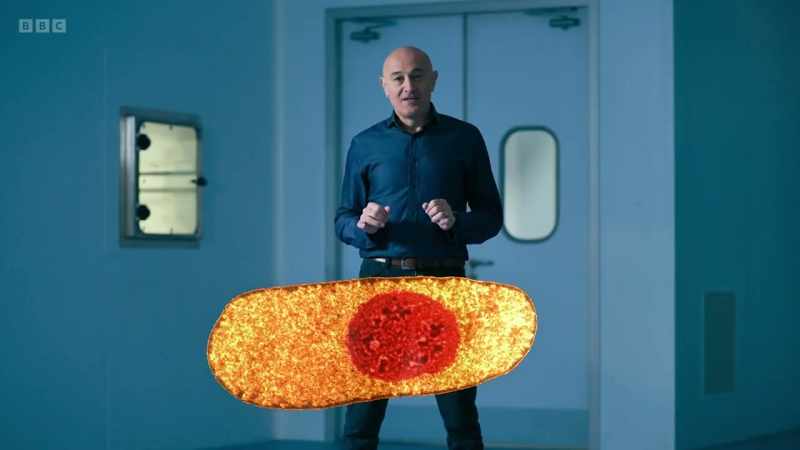 If they were significantly larger