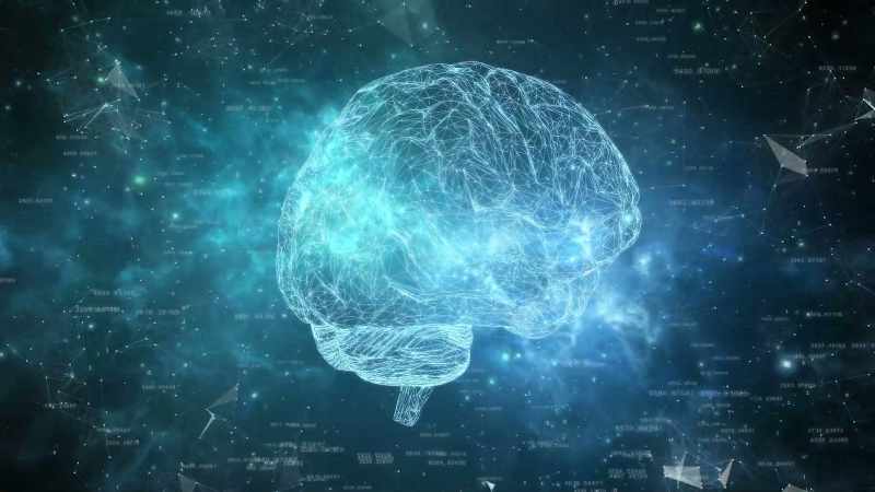 If you think about it, the brain