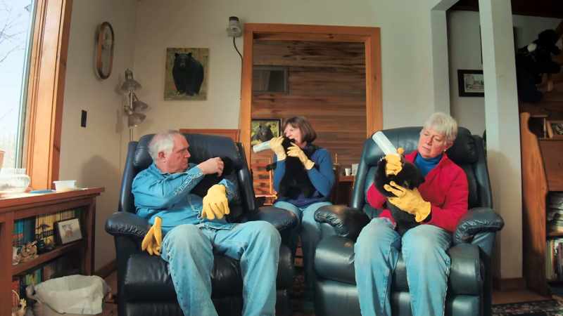 If you think having kids is hard, try raising three bears in your house