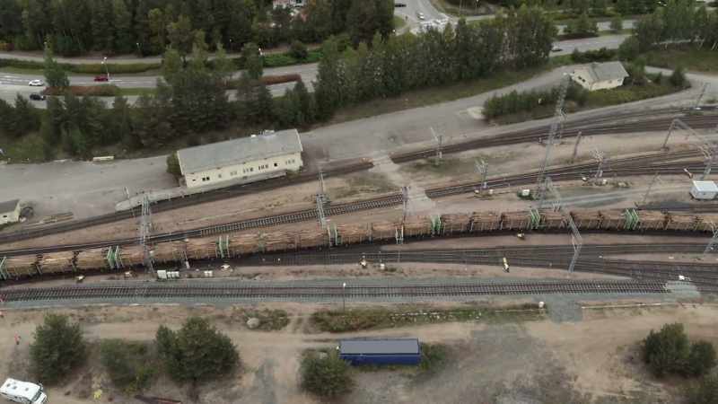 If you took all the trees Finland is growing commercially