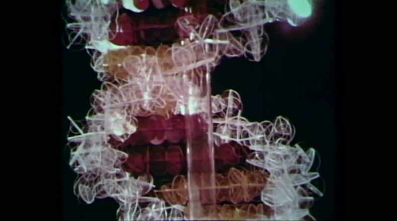 If we understood the structure of genes