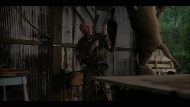 If you want, I'm happy to help smooth out his feathers