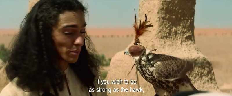 If you wish to be as strong as the hawk