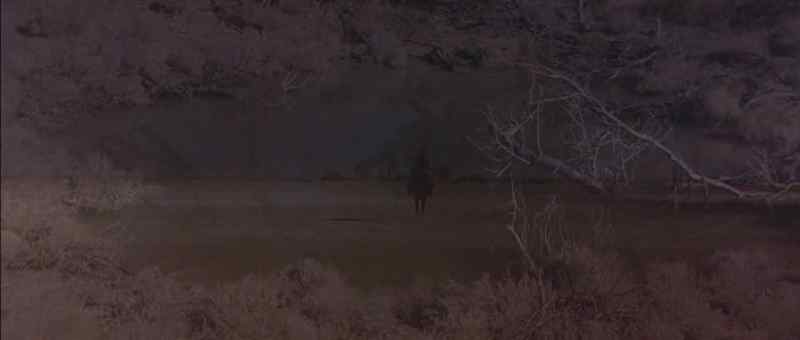 �� If wishes were eagles ♪