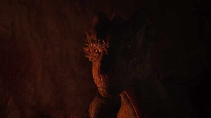 If you had known the king was responsible