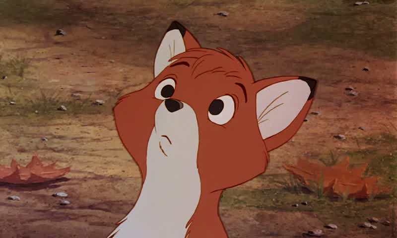 Now if you're so foxy and old chief's so dumbthen why does that hound get the fox on the run'Cause he's got the hunter and the hunter's got the gunElimination Lack of education