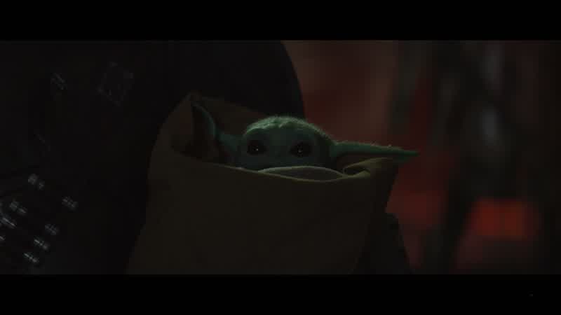 IG-11: Manufacturer's protocol dictates I cannot be captured