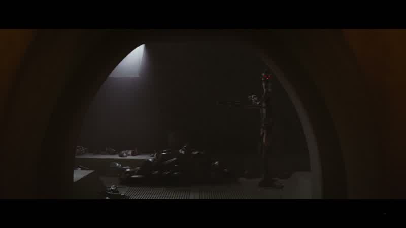 IG-11: You are protected