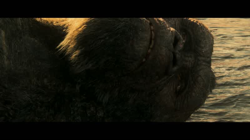 As soon as we move he'll be backHow are we supposed to get the rest of the wayHow's Kong with heights