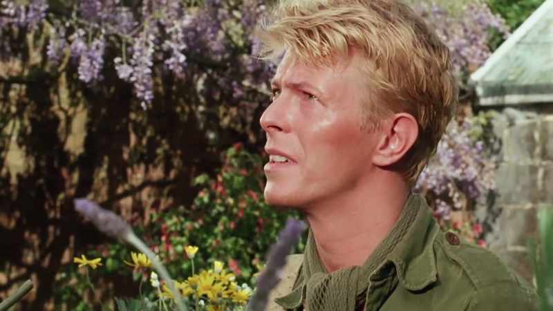 I'll be back before it flowers again