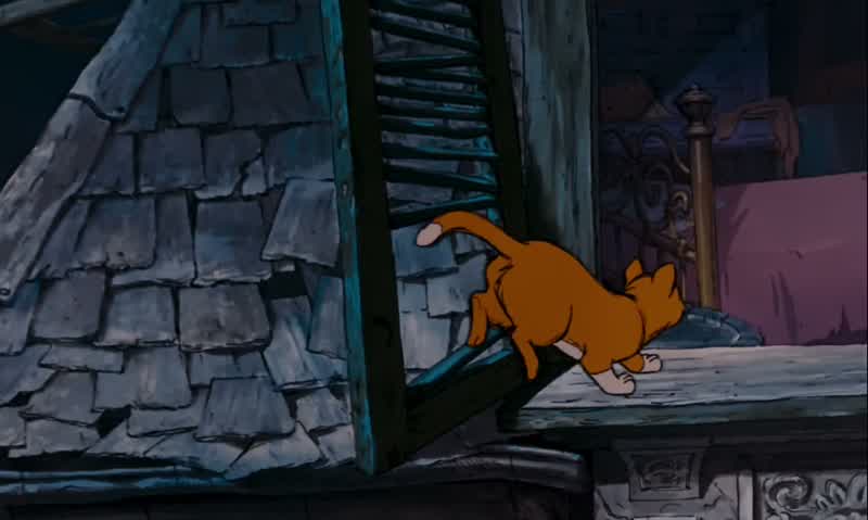 I'll bet they're on that magic carpet right now