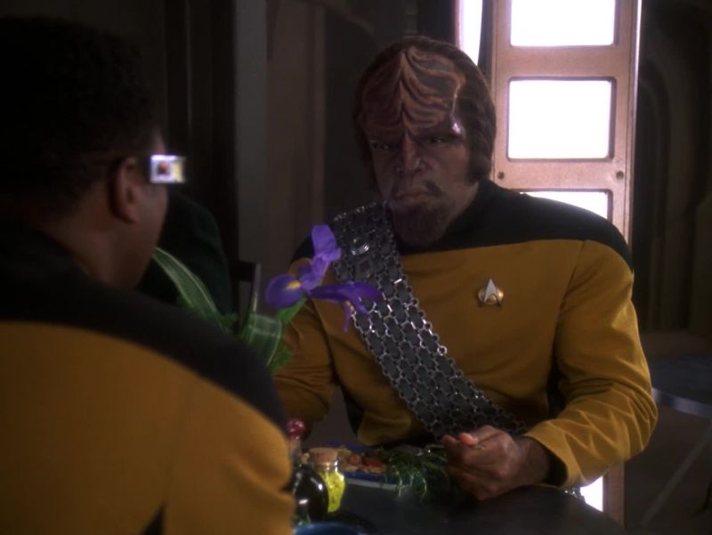 I'll have to talk to Chief O'Brien about these replicators