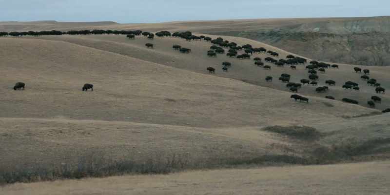 I'll head down valley 200 yards