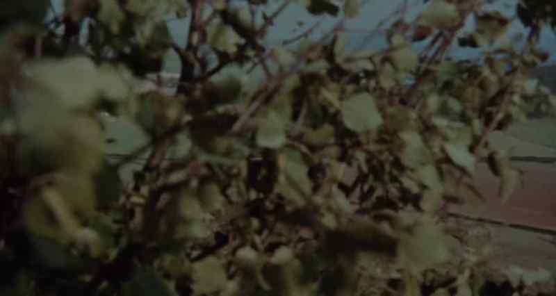 I'll never forget Gipsy's Acre, as I saw it that very first time