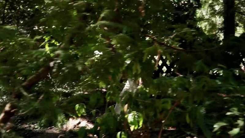 I'll put it underneath this rhododendron tree