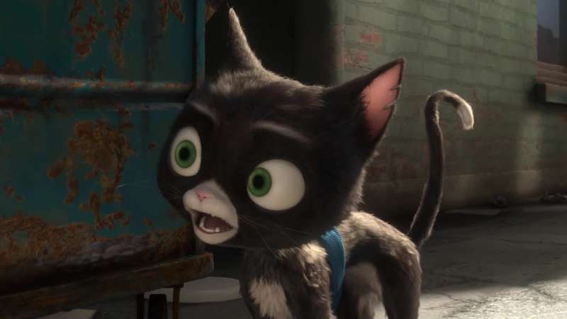 I'll release you cat when we find Penny