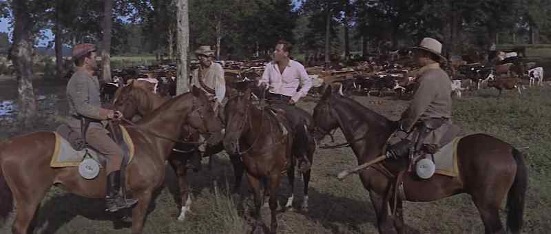 I'll ride point. Williams, you take the left flank