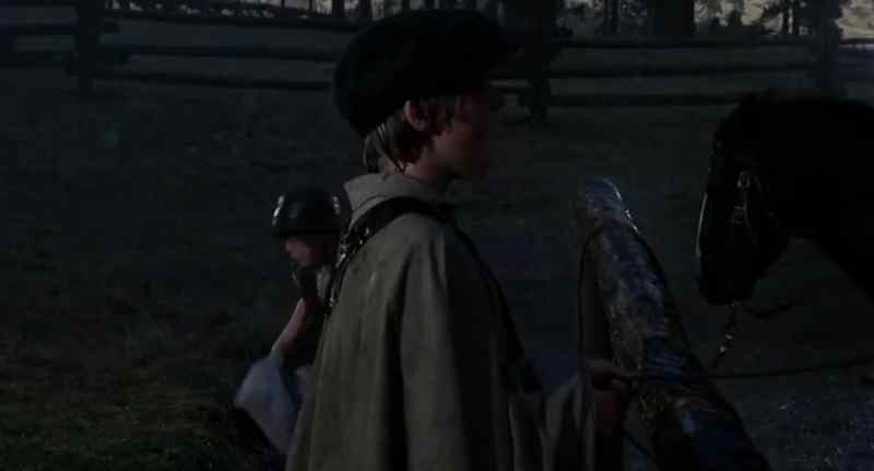 I'll take care of your horses