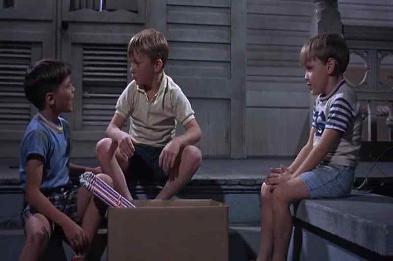 I'll throw them. - Why you?