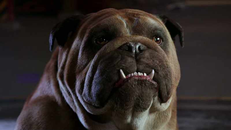 I'll, uh... [ Lockjaw groans ]