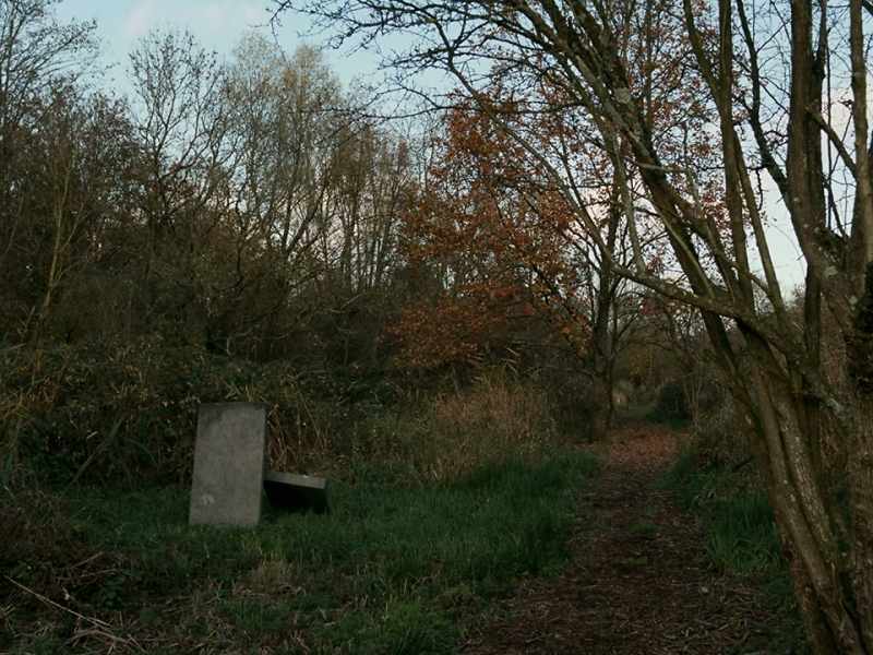Illegal burials were performed at the Jewish cemeteries