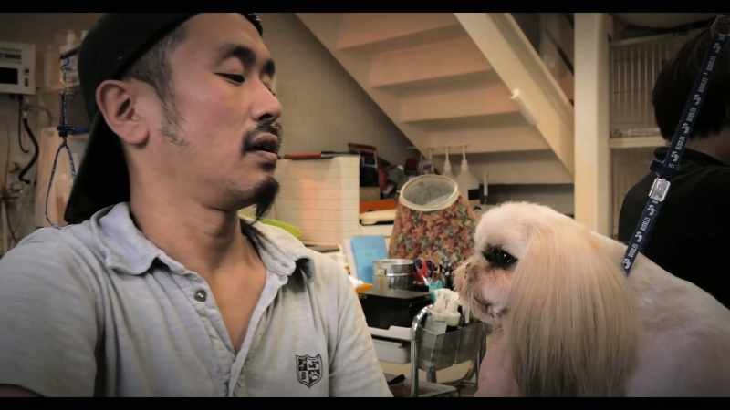 I'm a dog groomer