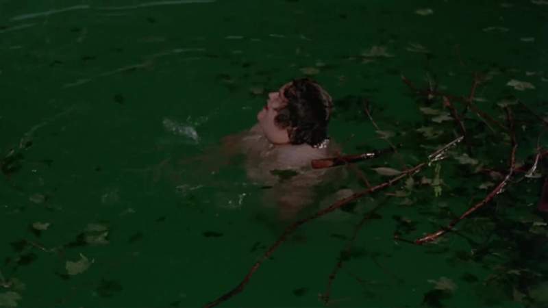 I'm a sea pig