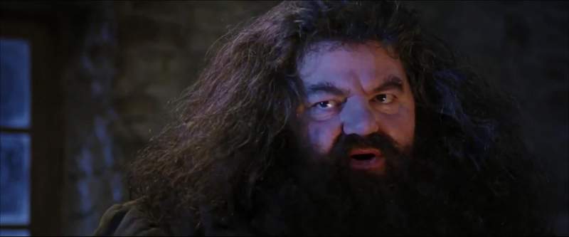 I'm a what A wizard