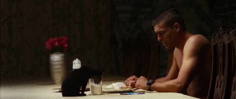 I'm all alone, Mittens