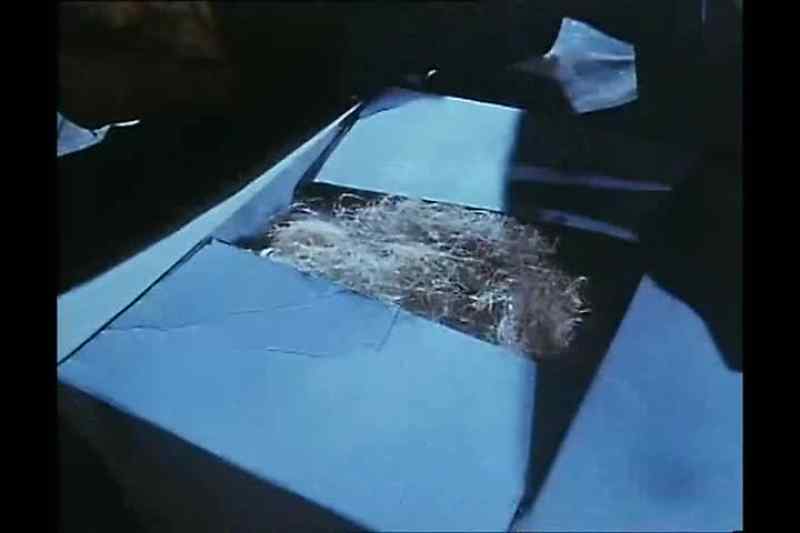I'm buggered!