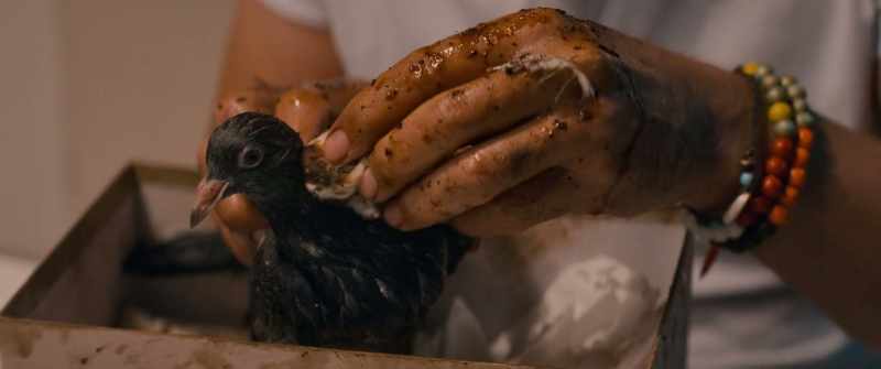 I'm cleaning his ugly gashes. Got any antiseptic?