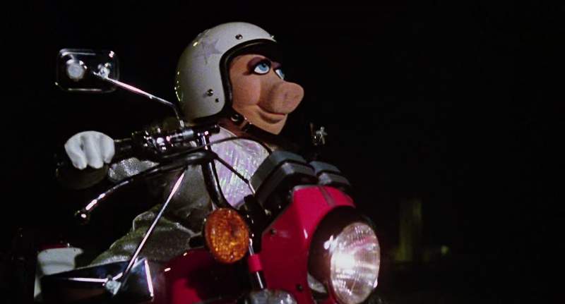 I'm coming Kermie